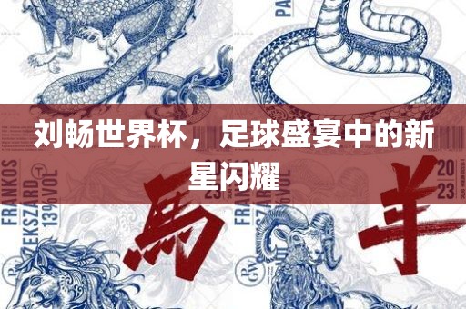 刘畅世界杯，足球盛宴中的新星闪耀眉山市正发家政服务有限公司