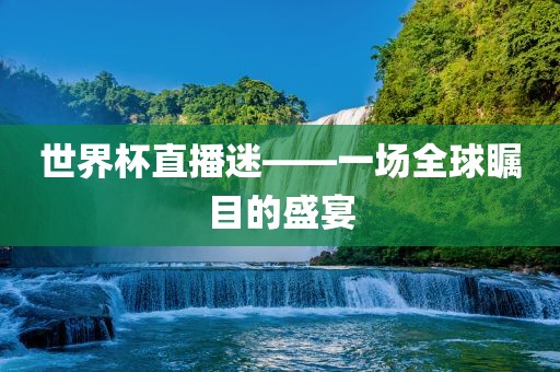 世界杯直播迷——一场全球瞩目的盛宴眉山市正发家政服务有限公司