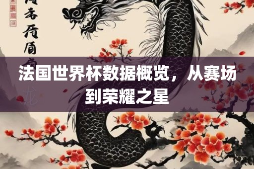 法国世界杯数据概览，从赛场到荣耀之星