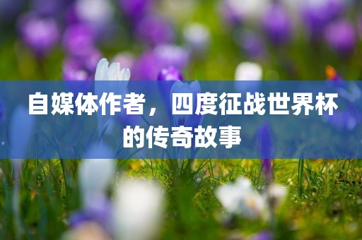 自媒体作者，四度征战世界杯的传奇故事眉山市正发家政服务有限公司