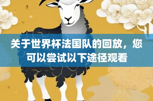 关于世界杯法国队的回放，您可以尝试以下途径观看
