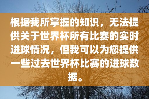 根据我所掌握的知识，无法提供关于世界杯所有比赛的实时进球情况，但我可以为您提供一些过去世界杯比赛的进球数据。眉山市正发家政服务有限公司