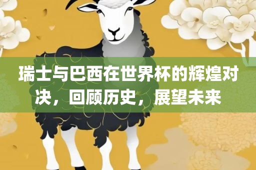 瑞士与巴西在世界杯的辉煌对决，回顾历史，展望未来