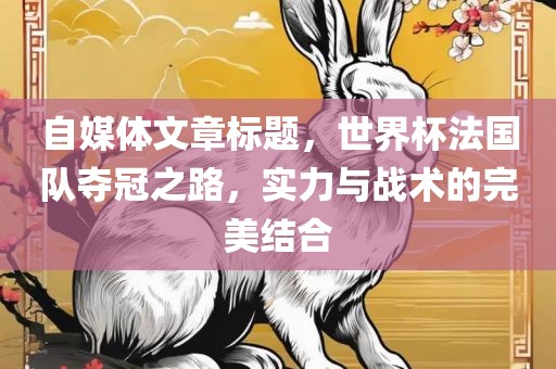 自媒体文章标题，世界杯法国队夺冠之路，实力与战术的完美结合