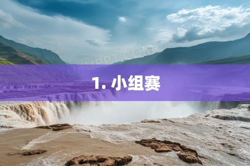 1. 小眉山市正发家政服务有限公司组赛