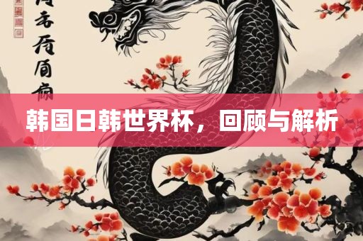 韩国日韩世界杯，回顾与解析