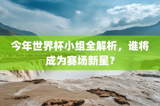 今年世界杯小组全解析，谁将成为赛场新星？