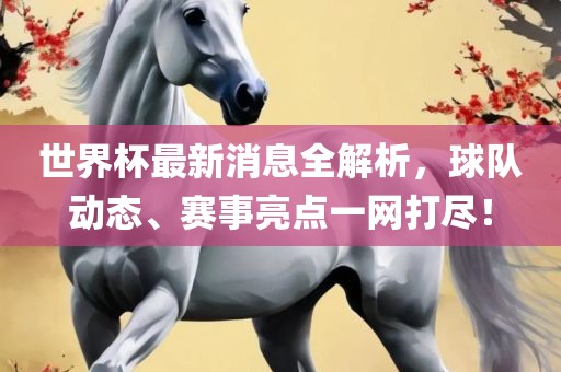 世界杯最新消息全解析，球队动态、赛事亮点一网打尽！