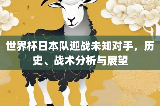 世界杯日本队迎战未知对手，历史、战术分析与展望