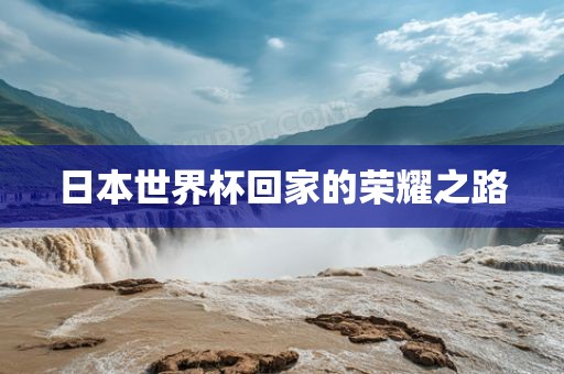 日本世界杯回家的荣耀之路