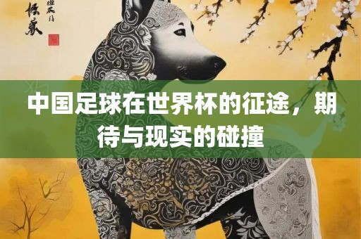 中国足球在世界杯的征途，期待与现实的碰撞