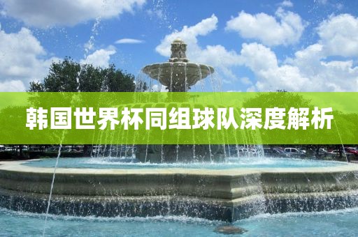 韩国世界杯同组球队深度解析