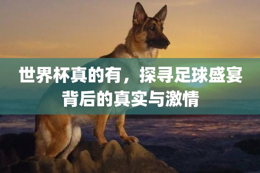 世界杯真的有，探寻足球盛宴背后的真实与激情眉山市正发家政服务有限公司