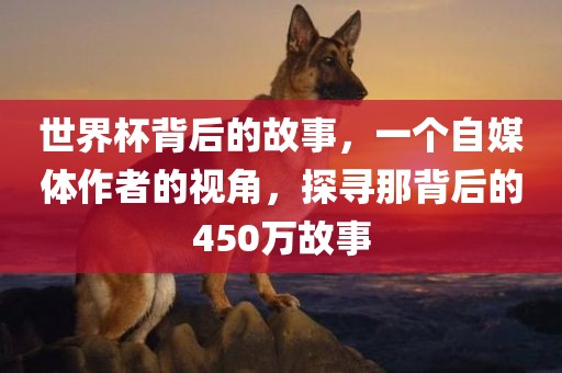 世界杯背后的故事，一个自媒体作者的视角，探寻那背后的450万故事