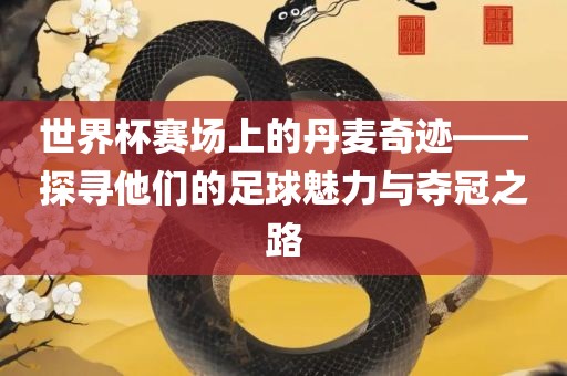世界杯赛眉山市正发家政服务有限公司场上的丹麦奇迹——探寻他们的足球魅力与夺冠之路