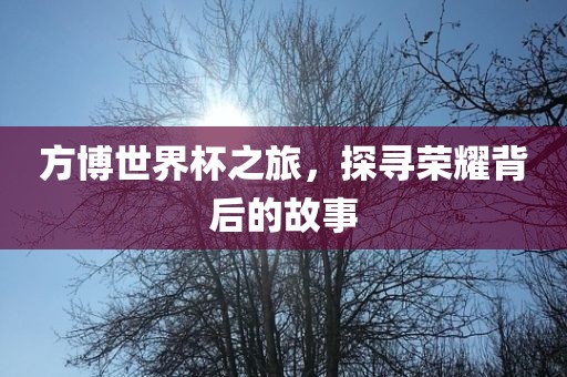 方博世界杯之旅，探寻荣耀背后的故事