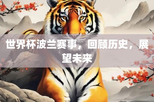 世界杯波兰赛事，回顾历史，展望未来