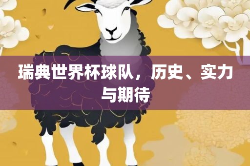 瑞典世界杯球队，历史、实力与期待