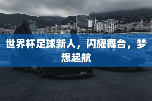 世界杯足球新人，闪耀舞台，梦想起航