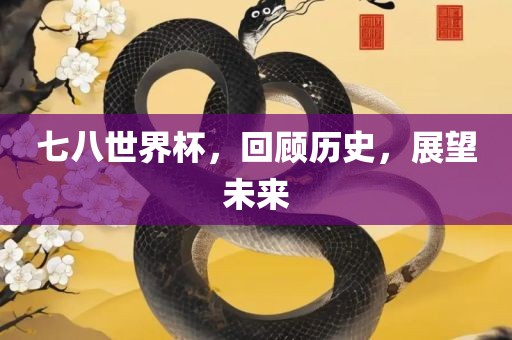 七八世界杯，回顾历史，展望未来眉山市正发家政服务有限公司