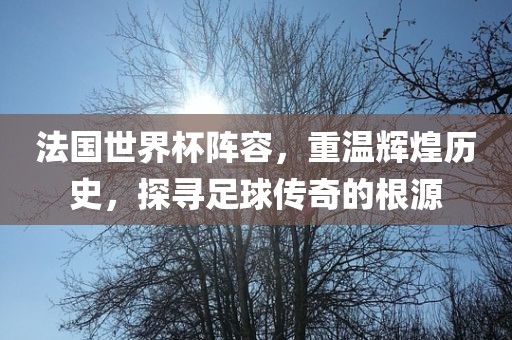 法国世界杯阵容，重温辉煌历史，探寻足球传奇的根源