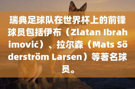 瑞典足球队在世界杯上的前锋球员包括伊布（Zlatan Ibrahimovi?）、拉尔森（Mats S?derstr?m Larsen）等著名球员。眉山市正发家政服务有限公司