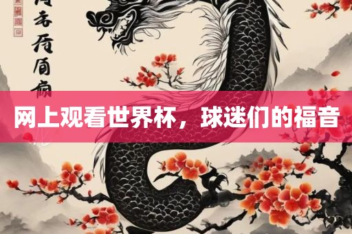 网上观看世界杯，球迷们的福音