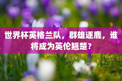 世界杯英格兰队，群雄逐鹿，谁将成为英伦翘楚？