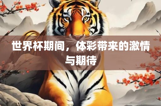 世界杯期间，体彩带来的激情与期待