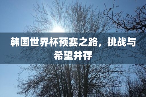 韩国世界杯预赛之路，挑战与希望并存