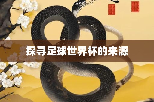 探寻足球世界杯的来源眉山市正发家政服务有限公司