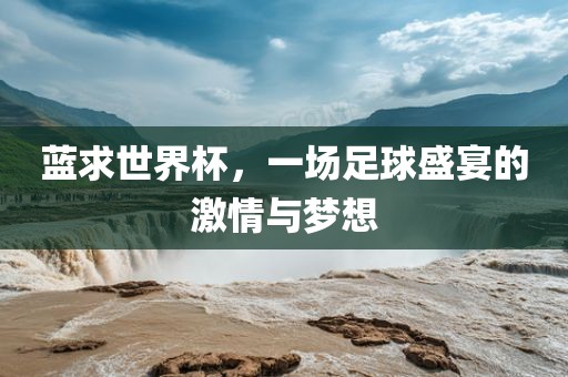 蓝求世界杯，一场足球盛宴的激情与梦想