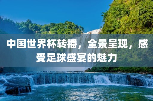 中国世界杯转播，全景呈现，感受足球盛宴的魅力