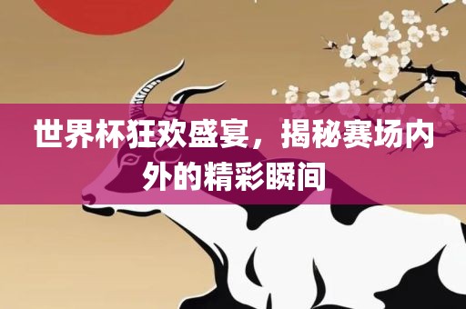 世界杯狂欢盛宴，揭秘赛场内外的精彩瞬间