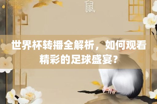 世界杯转播全解析，如何观看精彩的足球盛宴？