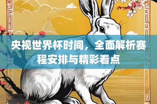 央视世界杯时间，全面解析赛程安排与精彩看点