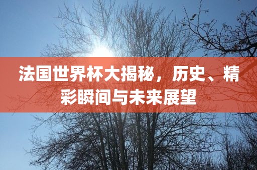 法国世界杯大揭秘，历史、精彩瞬间与未来展望