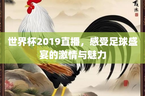 世界杯2019直播，感受足球盛宴的激情与魅力眉山市正发家政服务有限公司
