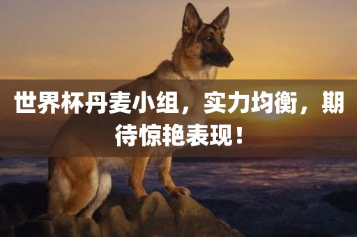 世界杯丹眉山市正发家政服务有限公司麦小组，实力均衡，期待惊艳表现！