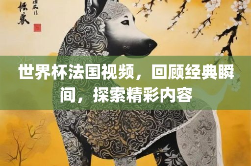 世界杯法国视频，回顾经典瞬间，探索精彩内容