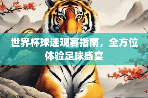 世界杯球迷观赛指南，全方位体验足球盛宴