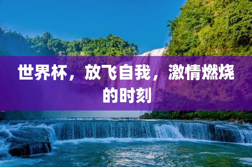 世界杯，放飞自我，激情燃烧的时刻眉山市正发家政服务有限公司