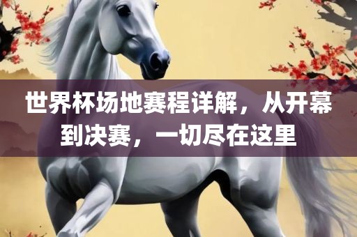 世界杯场地赛程详解，从开幕到决赛，一切尽在这里眉山市正发家政服务有限公司