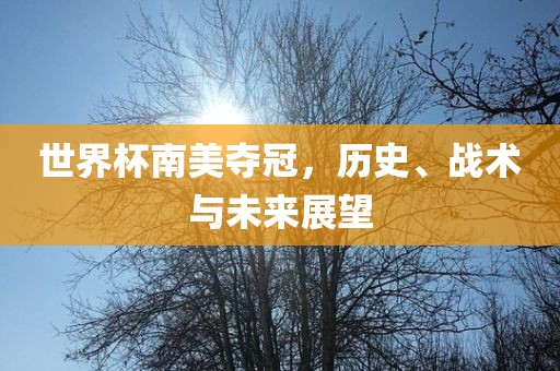 世界杯南美夺冠，历史、战术与未来展望