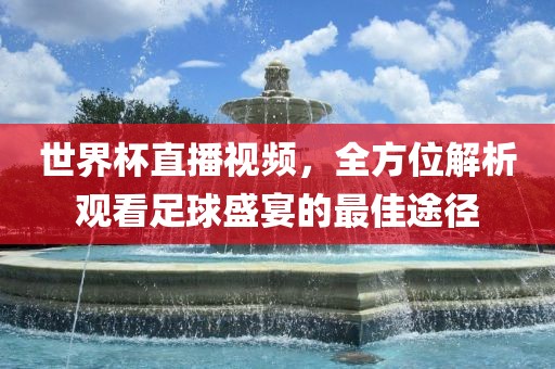 世界杯直播视频，全方位解析观看足球盛宴的最佳途径眉山市正发家政服务有限公司
