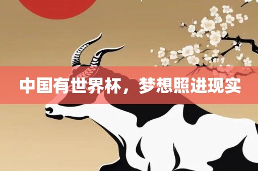 中国有世界杯，梦想照进现实
