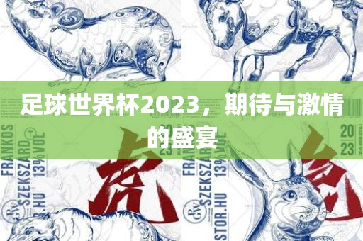 足球世界杯2023，期待与激情的盛宴