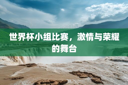 世界杯小组比赛，激情与荣耀的舞台眉山市正发家政服务有限公司