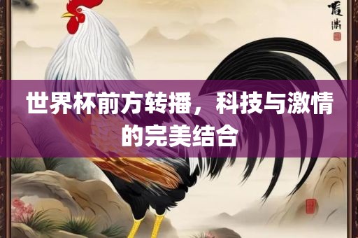 世界杯前方转播，科技与激情的完美结合