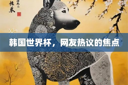 韩国世界杯，网友热议的焦点